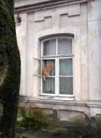 &quot;Šeimininkas&quot; Saulė Prušinskaitė